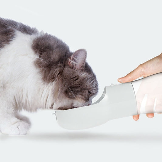 Traveling Portable Pet Water Dispenser